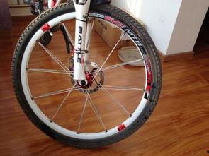 国产山地车车圈推荐视频,性能与性价比兼备的骑行利器