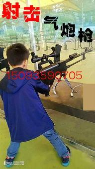 国产4把枪图片视频大全,揭秘我国自主研制枪械的强大实力