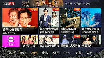 国产日本视频区,揭秘东方风情下的影视盛宴